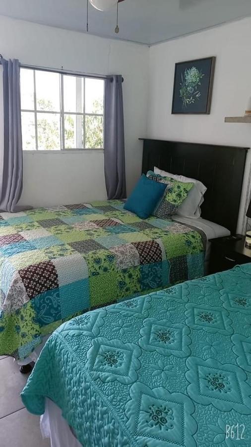 Hostal Jasmin Berlin Luaran gambar